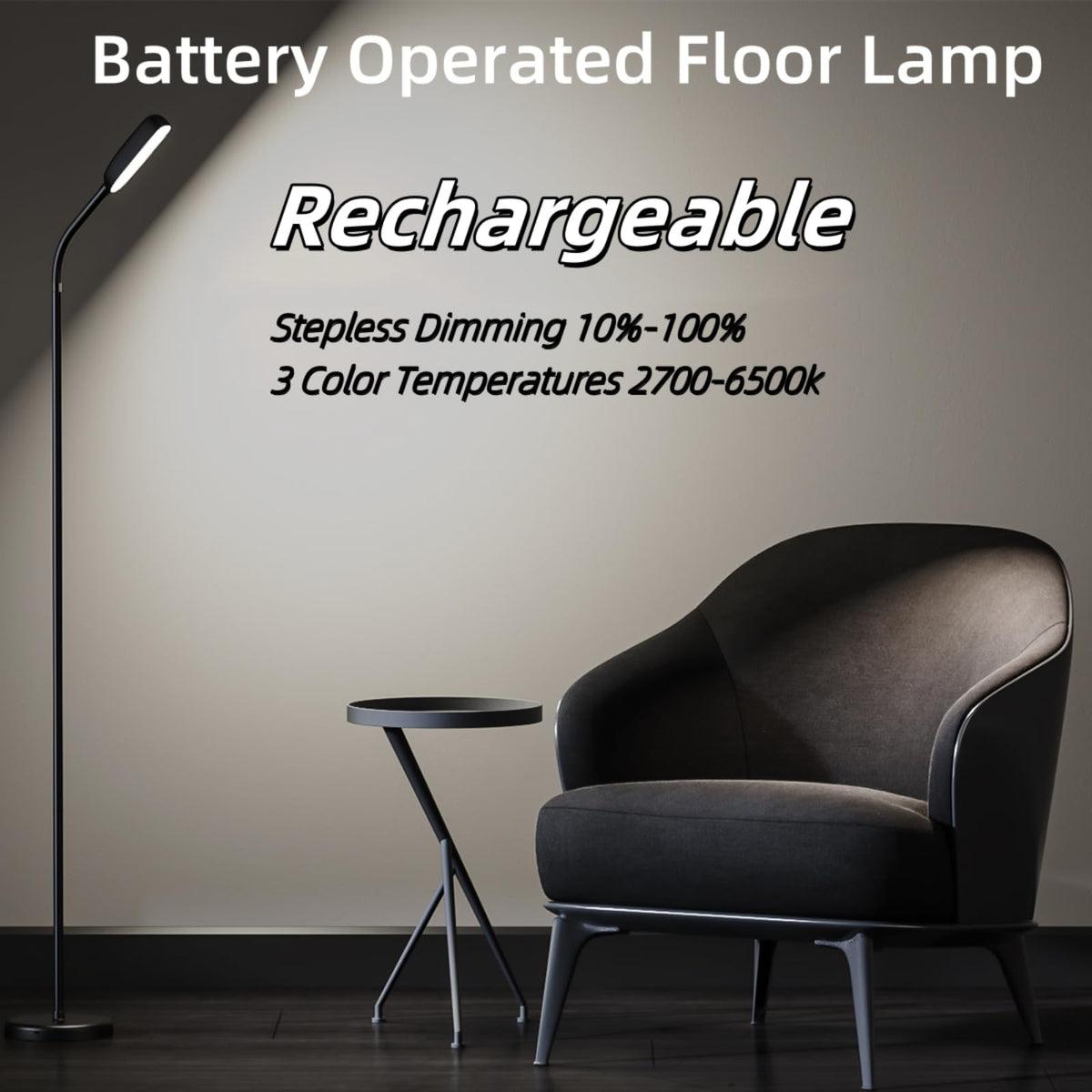 YUWLDD LD202 Cordless Floor Lamp product image